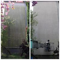 Geb&auml;udereinigung und Fassadenreinigung von einer Putzfassade in D&uuml;sseldorf Eller